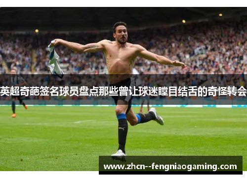 英超奇葩签名球员盘点那些曾让球迷瞠目结舌的奇怪转会 英超奇葩签名球员盘点那些曾让球迷瞠目结舌的奇怪转会