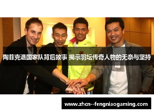 陶菲克退国家队背后故事 揭示羽坛传奇人物的无奈与坚持