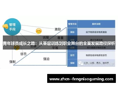 青年球员成长之路：从基层训练到职业舞台的全面发展路径探析