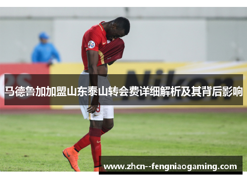 马德鲁加加盟山东泰山转会费详细解析及其背后影响