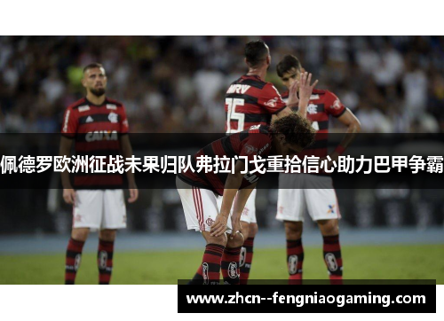 佩德罗欧洲征战未果归队弗拉门戈重拾信心助力巴甲争霸 佩德罗欧洲征战未果归队弗拉门戈重拾信心助力巴甲争霸